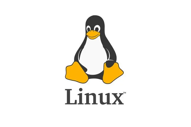 Linux安装megacli查看阵列卡信息和硬盘信息